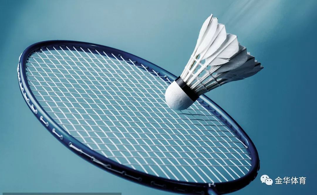 推动队员们 推动队员们