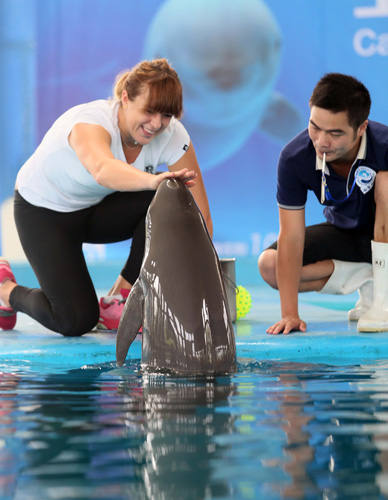 另一次则是 另一次则是